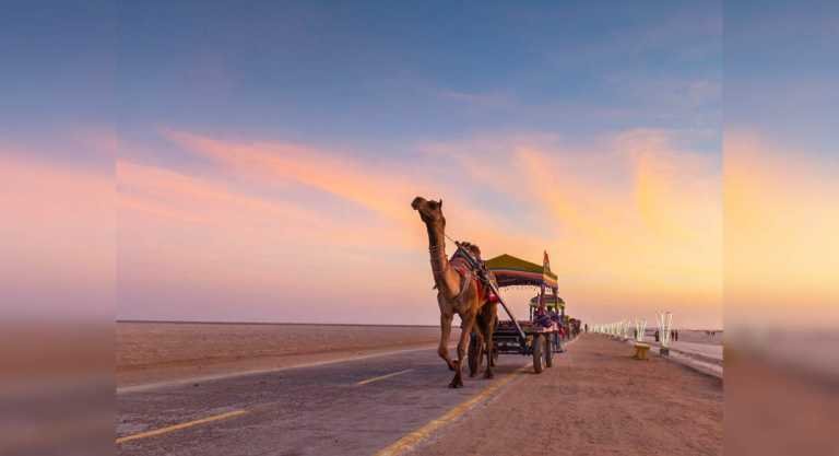 A guide to visiting Kutch and Bhuj