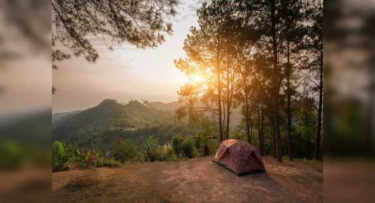 India’s best jungle camping sites that you must visit once – Travel India Alone