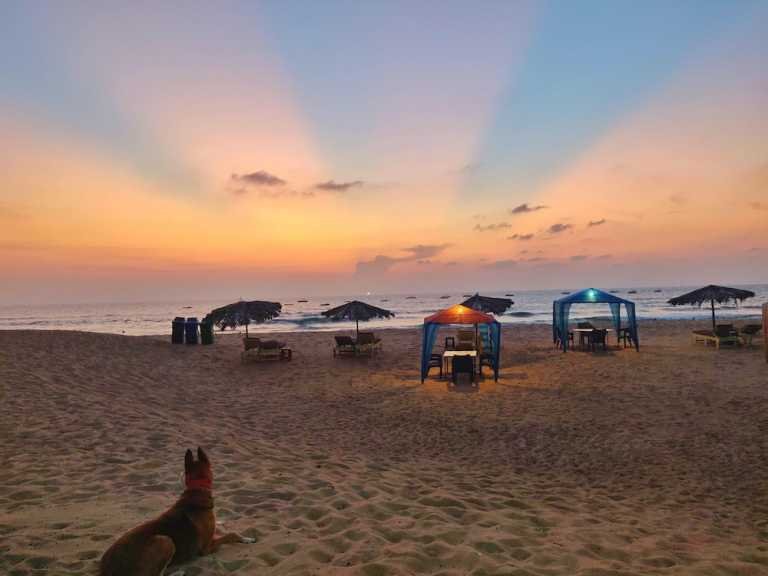 Goa Beaches Explained – Which Beach is Best For You? – Travel India Alone