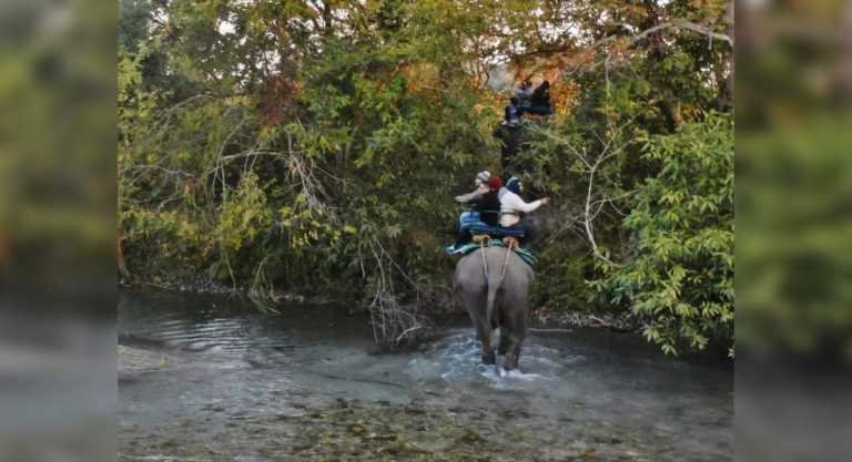 West Bengal National Parks: Visiting National Parks in West Bengal – Travel India Alone