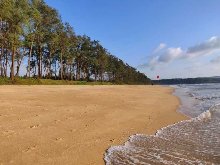 Galgibaga: A Guide to the Most Peaceful Beach in Goa – Travel India Alone