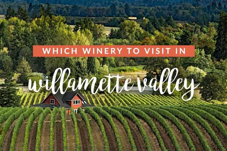 Best Wineries in Willamette Valley – Travel India Alone