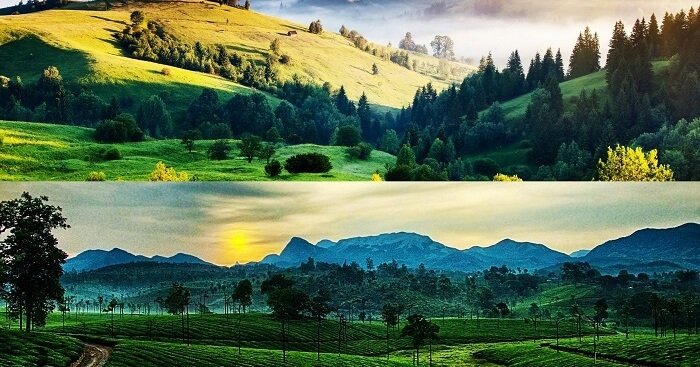 Kodaikanal vs Ooty For Honeymoon: What’s Your Pick? – Travel India Alone