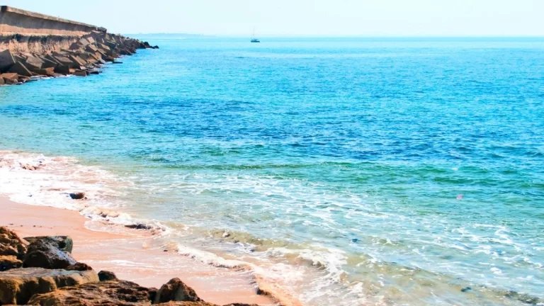 Was the World’s First Beach Found in Jharkhand’s Singhbhum? Here’s What Scientists Think – Travel India Alone