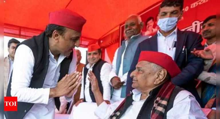 ‘Respect my feelings, back Tipu’: Mulayam Singh Yadav on 1st Karhal trip in 2 years | India News – Travel India Alone