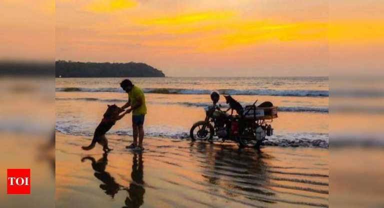 After tumour surgery, dog visits Goa while on all-India bike tour | Goa News – Travel India Alone