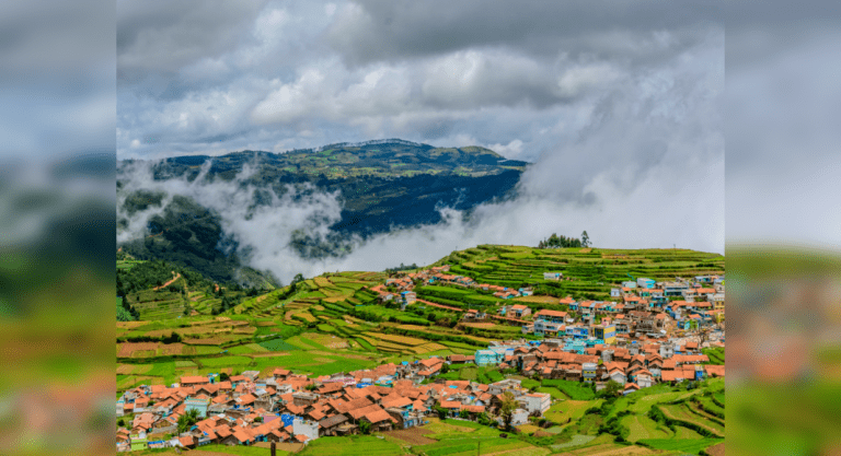 Interesting experiences in Kodaikanal, the Princess of Hills – Travel India Alone