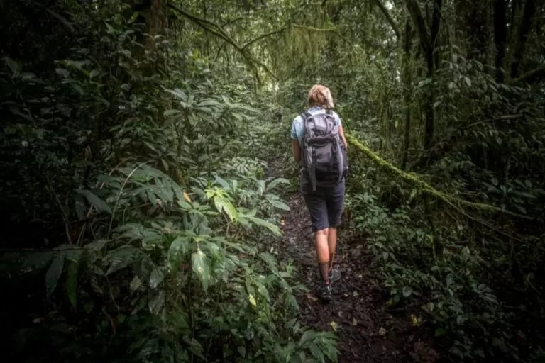 Why Goas Monsoon Trek Is A Better Choice Than Beaches This Season – Travel India Alone