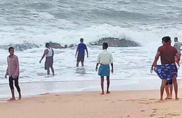 Grouper fish all across Karwar beach spark debate- The New Indian Express – Travel India Alone