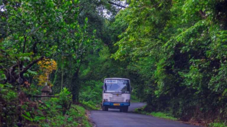 5 Most Scenic Routes In South India You Should Add To Your Road Trip Bucket List – Travel India Alone