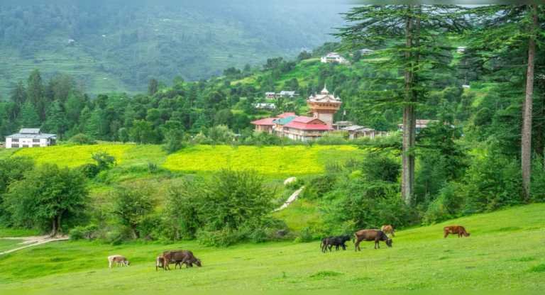 Perfect hill getaways in North India for the long Diwali weekend – Travel India Alone