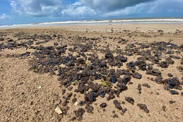 Tarballs on India’s west coast indicate oil spills, ship fuel discharge – Travel India Alone