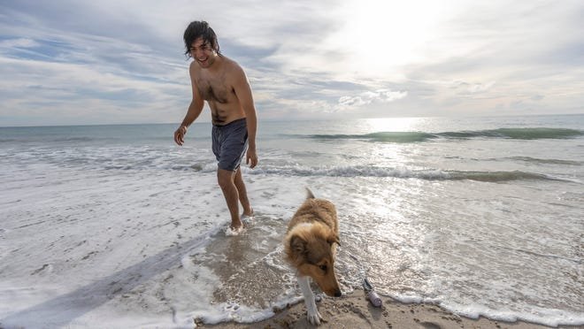 Indian River Shores beaches will not allow off-leash dogs all day, county says – Travel India Alone