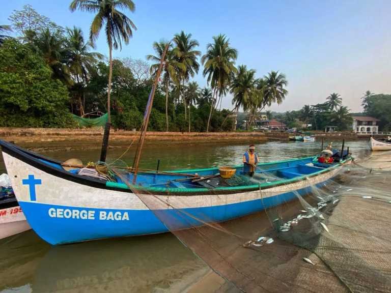 What makes South Goa a paradise for solitude seekers? – Times of India – Travel India Alone