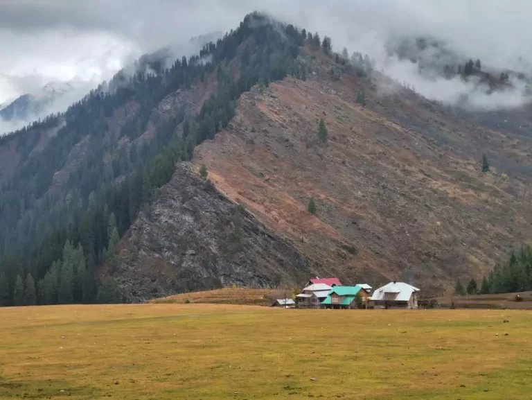 Kashmir’s Gurez Valley, with its bucolic charm, might soon emerge as a tourist hotspot – Travel India Alone