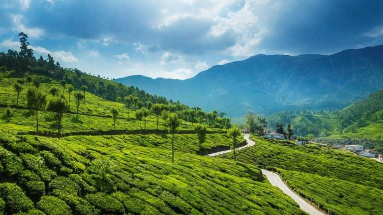 Kerala: one Indian state, four exhilarating ways – Travel India Alone